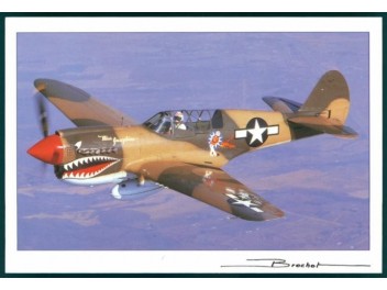 USAF, P-40 Warhawk