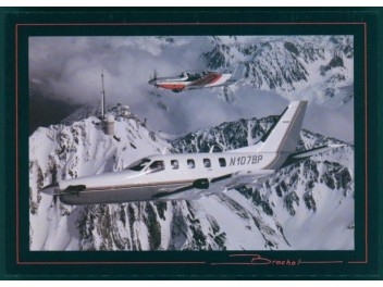 TBM-700, private ownership