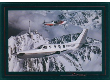 TBM-700, propriété privée