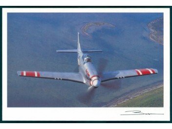 USAF, P-51 Mustang