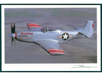 Luftwaffe USA, P-51 Mustang