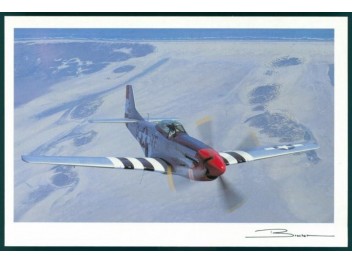 USAF, P-51 Mustang