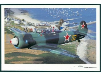 Yak-11, propriété privée