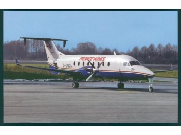 Private Wings, Beech 1900
