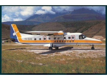 Aerotuy, Dornier 228