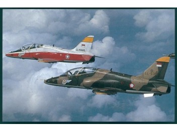 Armée de l'air Indonésie, Hawk