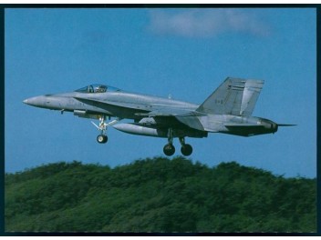 Luftwaffe Kanada, CF-18 Hornet