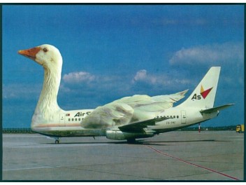 Fluggans, Air Sul B.737, goose