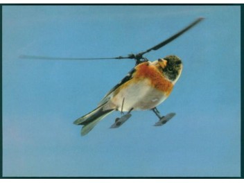 Helikopterbird, bird
