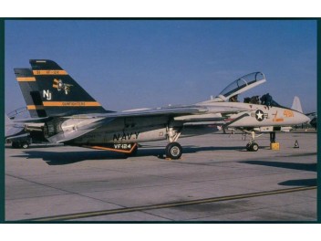 US Navy, F-14 Tomcat