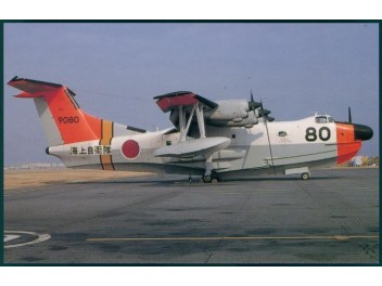 Luftwaffe Japan/Navy, Shin...