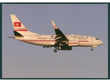 Tunisie (gouv.), B.737