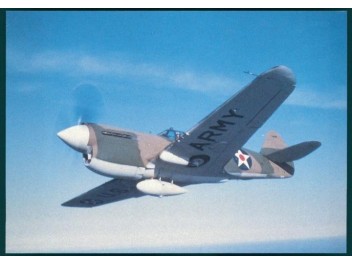 Luftwaffe USA, P-40 Warhawk