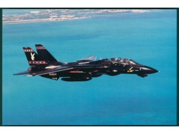 USAF, F-14 Tomcat