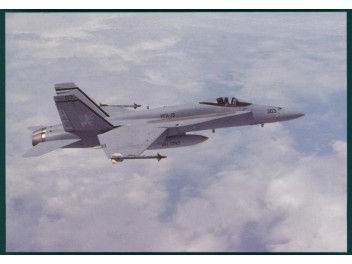 Luftwaffe USA, F/A-18 Hornet