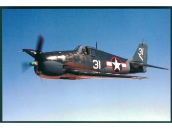 Luftwaffe USA, F6F Hellcat