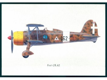 Air Force Italy, Fiat CR.42...