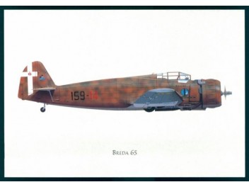 Air Force Italy, Breda Ba. 65