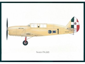 Air Force Italy, Nardi F.N.305