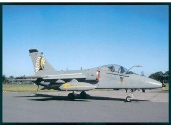 Air Force Italy, AMX