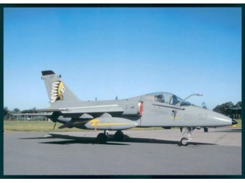 Armée de l'air Italie, AMX