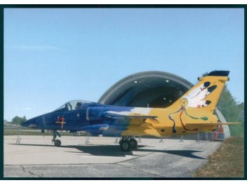 Armée de l'air Italie, AMX