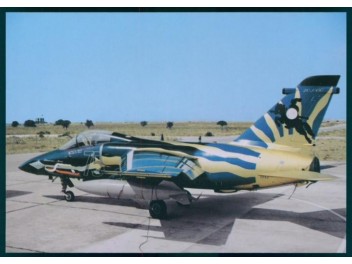 Armée de l'air Italie, AMX