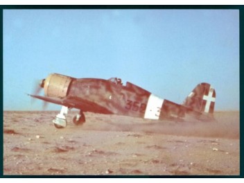 Armée de l'air Italie, Fiat...