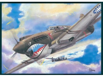 Luftwaffe USA, P-40 Tomahawk