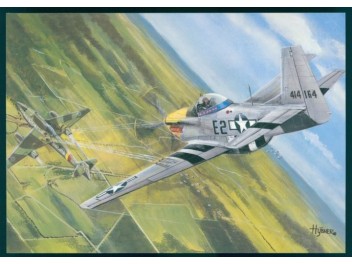 USAF, P-51 Mustang