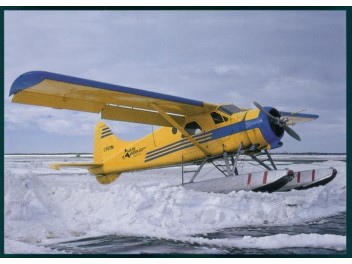 Adlair Aviation, DHC-2