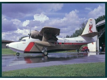 Pelita Air, G-111 Albatros