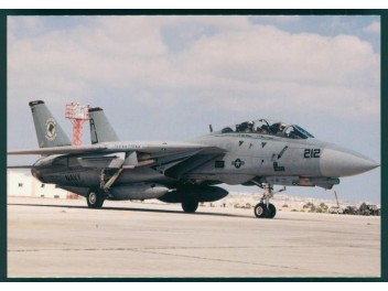 US Air Force, F-14 Tomcat