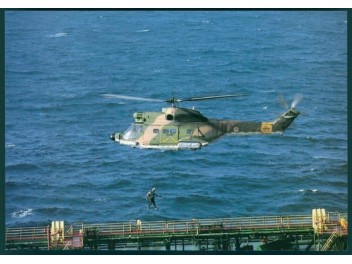 Armée de l'air Portugal, Puma