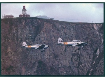 Luftwaffe Portugal, DHC-1