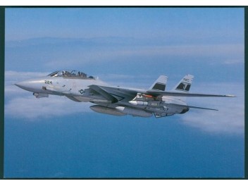 Luftwaffe USA/Navy, F-14...