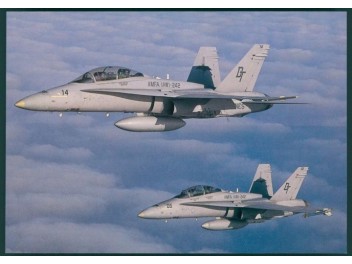 USAF, F/A-18 Hornet