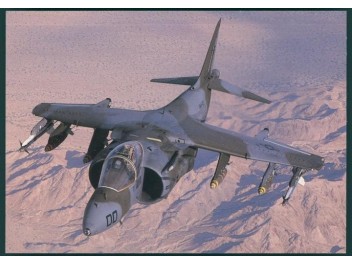Luftwaffe USA, AV-8 Harrier II