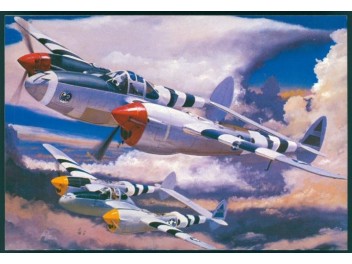 Luftwaffe USA, P-38 Lightning