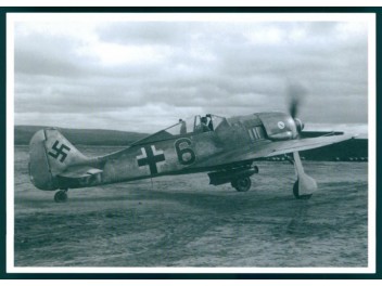 Air Force Germany, Fw 190