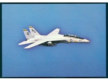 Luftwaffe USA, F-14 Tomcat