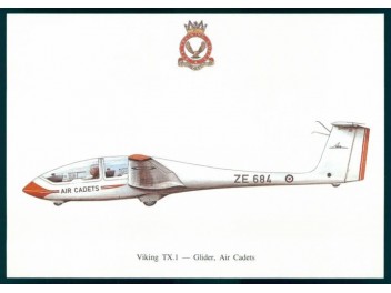 Royal Air Force, Grob G103A