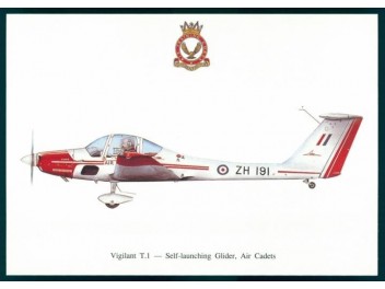 Royal Air Force, Grob G109B