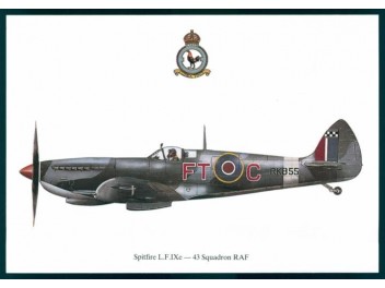 Royal Air Force, Spitfire