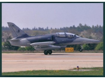 Luftwaffe Tschechien, L-159...