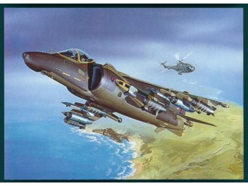 Royal Air Force, Sea Harrier