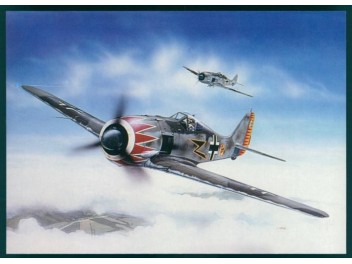 Luftwaffe Deutschland, Fw 190