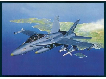 USAF, F/A-18 Hornet