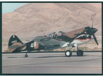 USAF, P-40 Warhawk