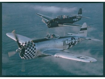 Luftwaffe USA, P-47D...